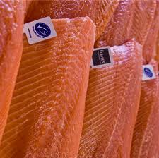 gezonde voeding laag cholesterol